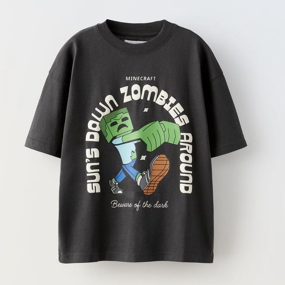 Minecraft Mojang T-shirt from Zara - Picture 1 of 6